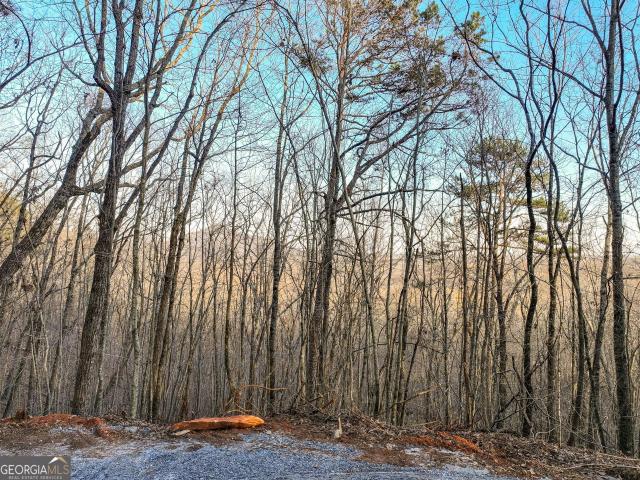 Land for sale in Georgia