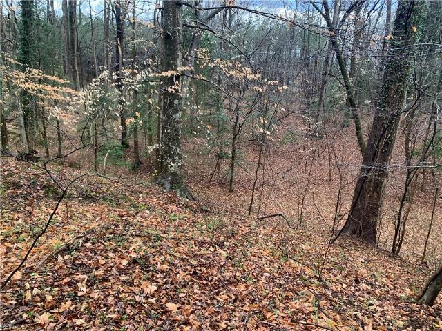 Land for sale in Virginia