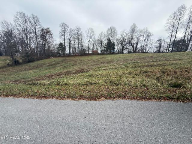 Land for sale in Jonesville, Lee County