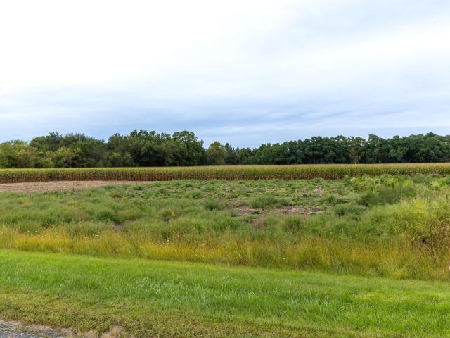 Land for sale in Town of Hamilton, La Crosse County