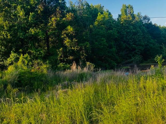 Land for sale in Ark