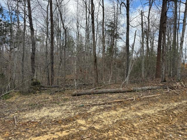 Land for sale in Monticello, Kentucky