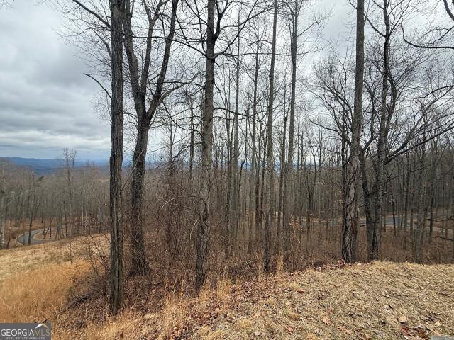 Land for sale in Young Harris, Georgia