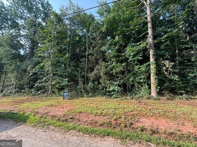 Land for sale in Lavonia, Georgia