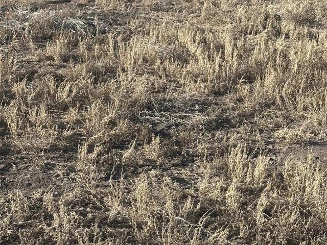 Land for sale in Blanca, Colorado