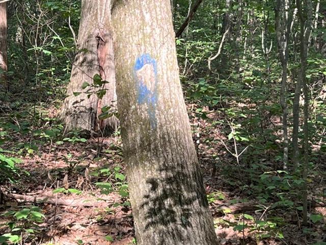 Land for sale in Warren, Massachusetts