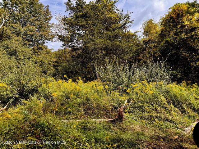 Land for sale in Livingston, New York