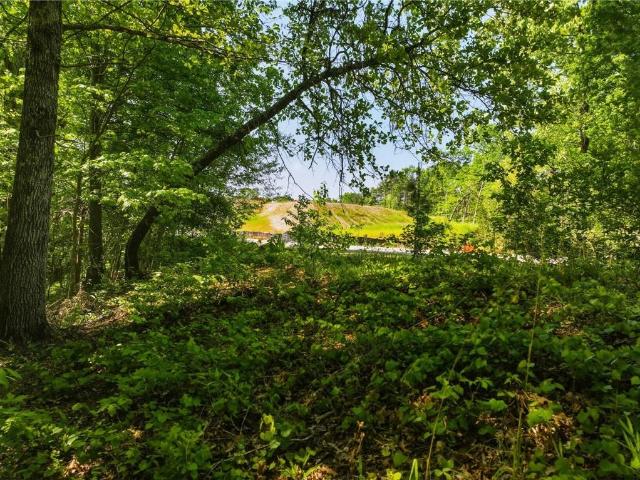Land for sale in Dahlonega, Georgia