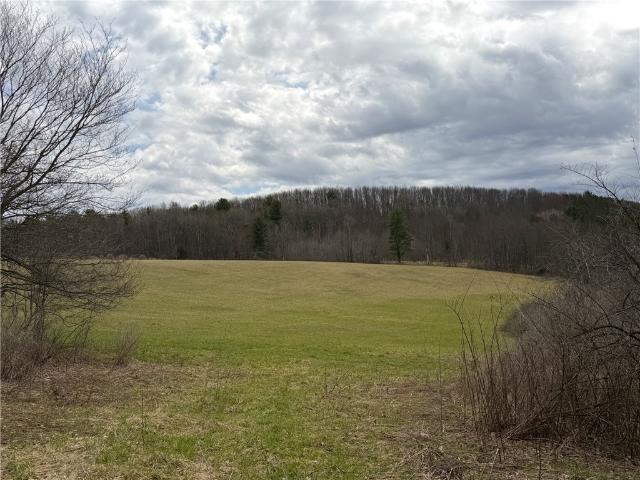 Land for sale in Cuba, New York