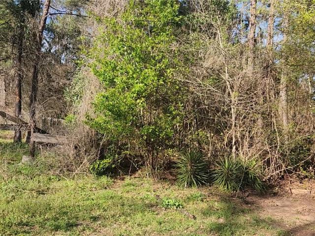Land for sale in Plantersville, Grimes County