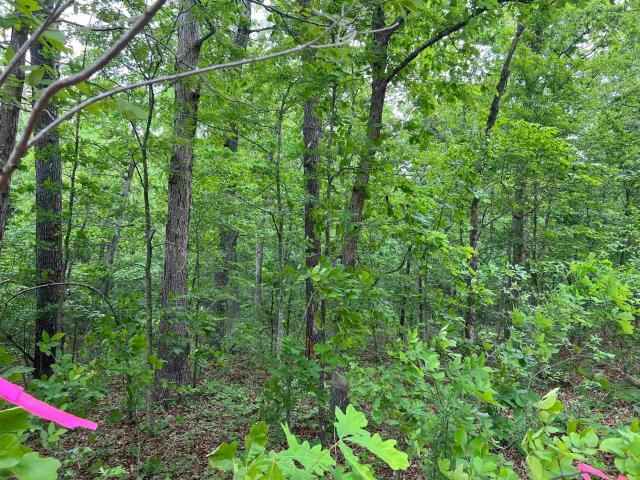 Land for sale in Ark