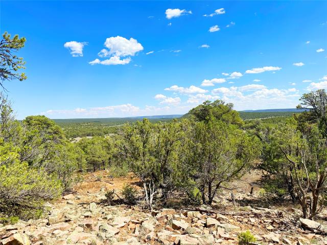 Land for sale in New Mexico