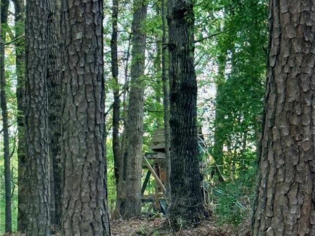 Land for sale in Marble Hill, Pickens County