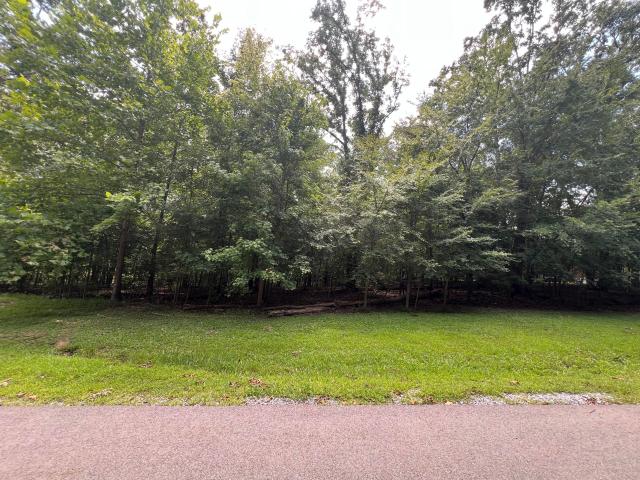 Land for sale in Murray, Kentucky