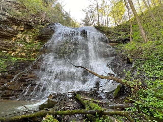 Land for sale in Byrdstown, Middle Tennessee