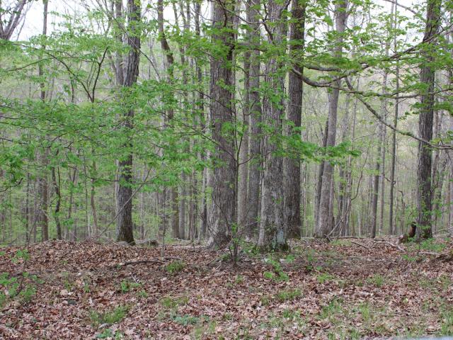 Land for sale in Eddyville, Kentucky