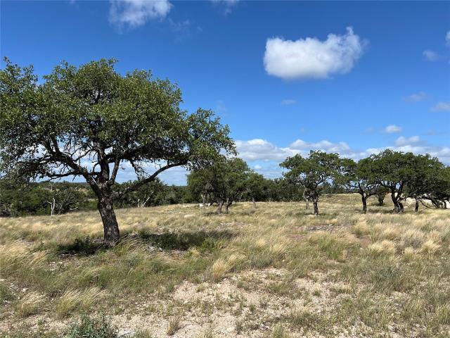 Land for sale in Junction, Texas