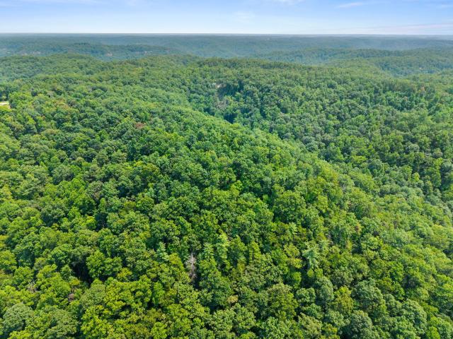 Land for sale in Menifee, Kentucky