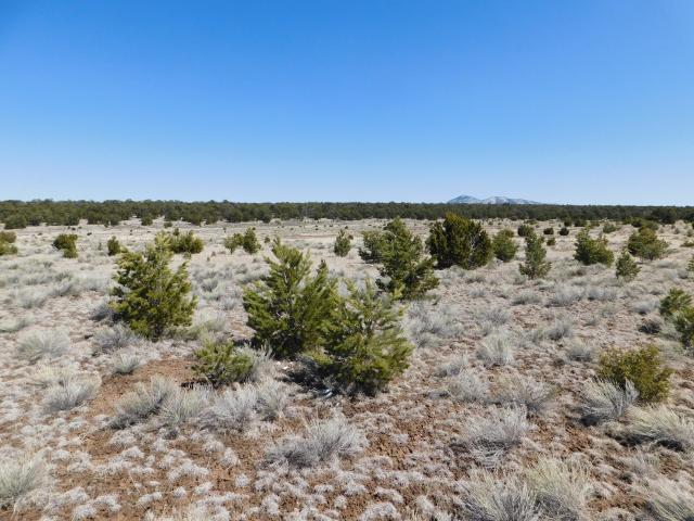 Land for sale in Catron County, New Mexico