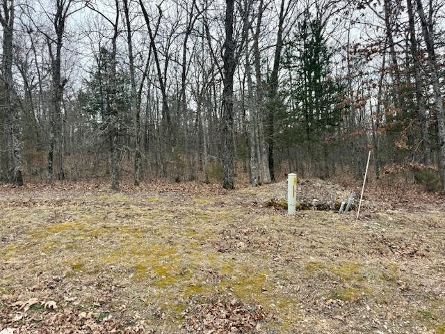 Land for sale in Stone, Missouri