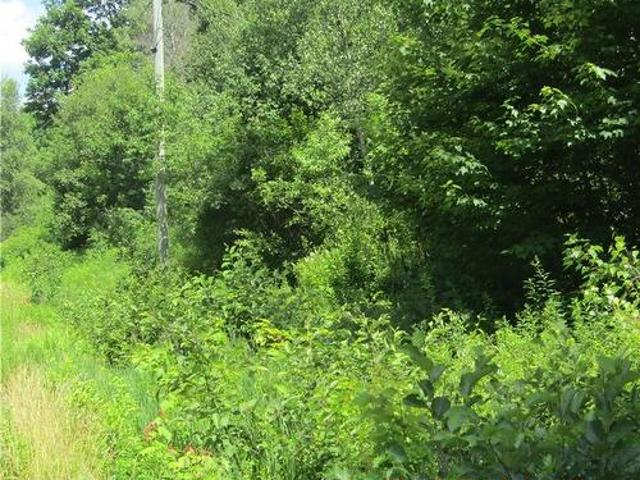 Land for sale in Charlotte, New Brunswick