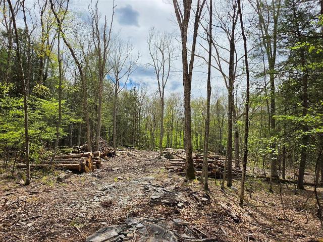 Land for sale in Barryville, New York