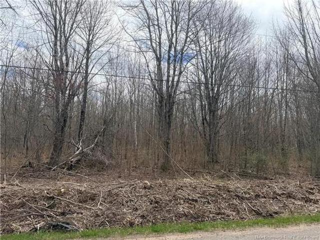 Land for sale in Cornhill, New Brunswick