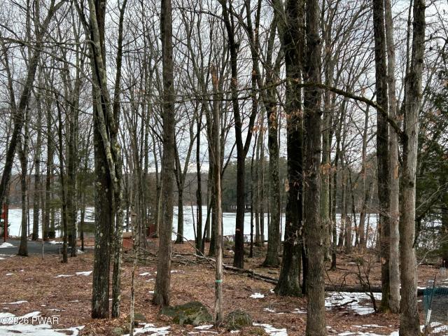 Land for sale in Beach Lake, Pennsylvania