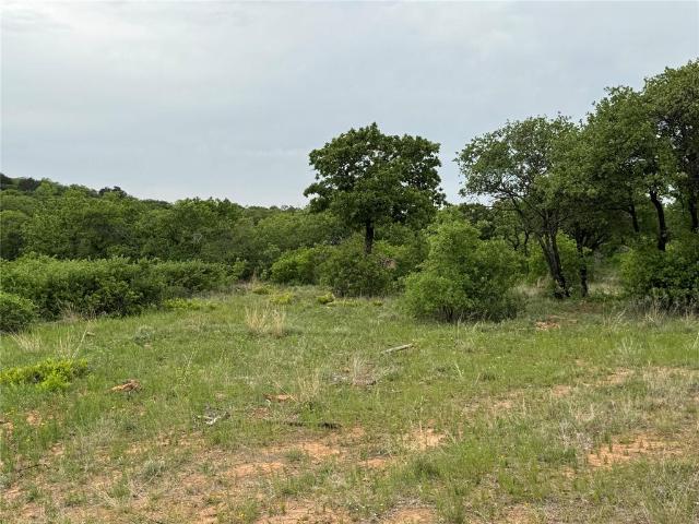 Land for sale in Cisco, Texas