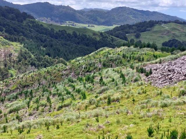 Property for sale in Maungaturoto, Northland