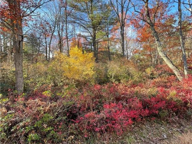Land for sale in Glen Spey, New York