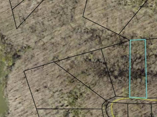 Land for sale in Russell Springs, Kentucky