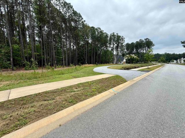 Land for sale in Prosperity, South Carolina