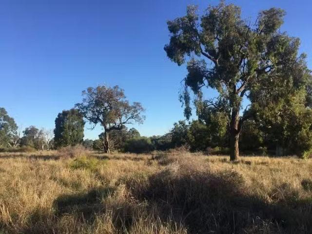 House for rent in Karnup