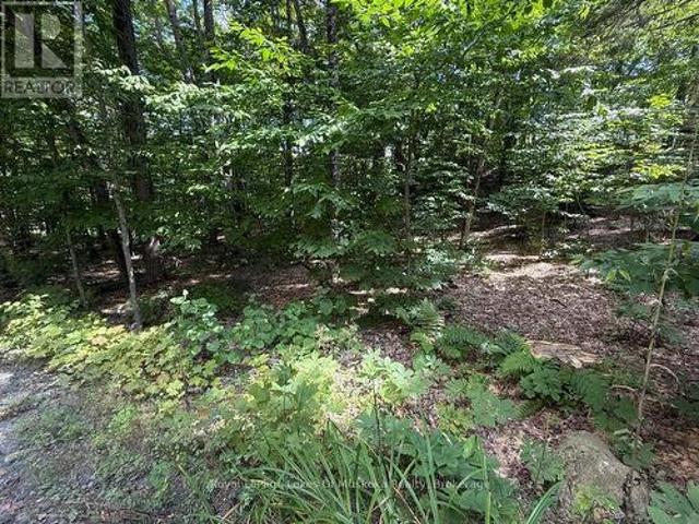 Land for sale in Muskoka, Ontario
