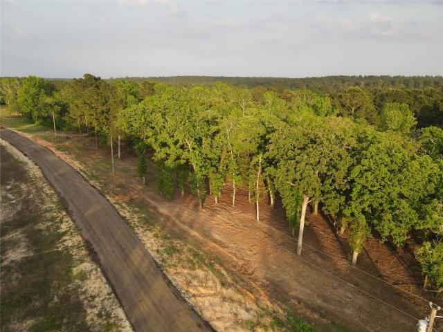 Land for sale in Leon, Texas