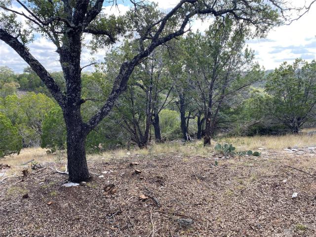 Land for sale in Junction, Texas