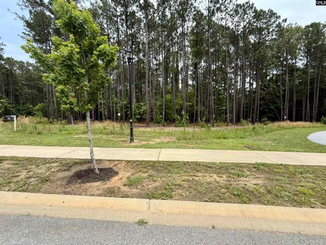 Land for sale in Prosperity, South Carolina