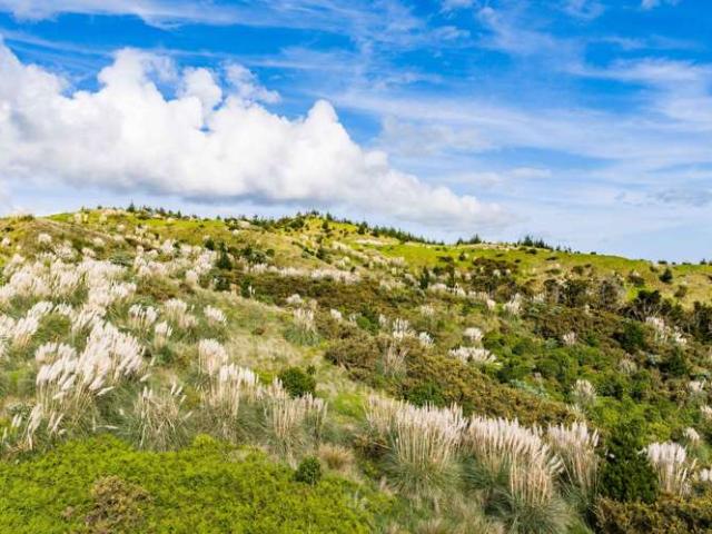 Property for sale in Maungaturoto, Northland
