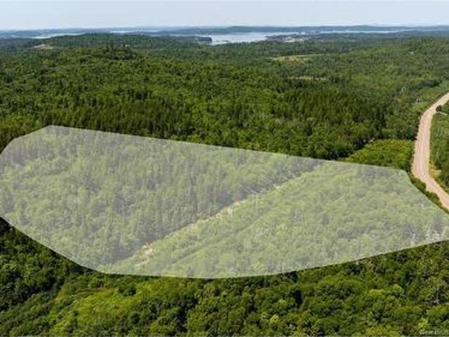 Land for sale in Charlotte, New Brunswick