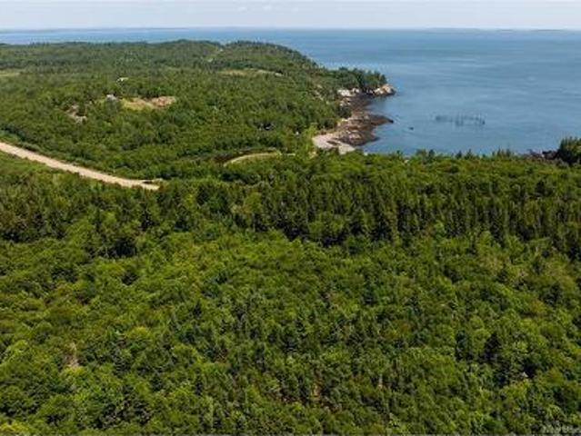 Land for sale in Charlotte, New Brunswick