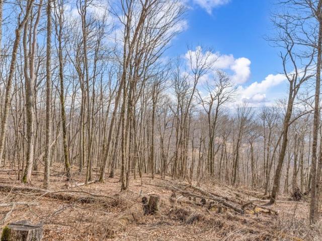 Land for sale in Todd, North Carolina