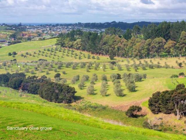 Property for sale in Mangawai, Northland