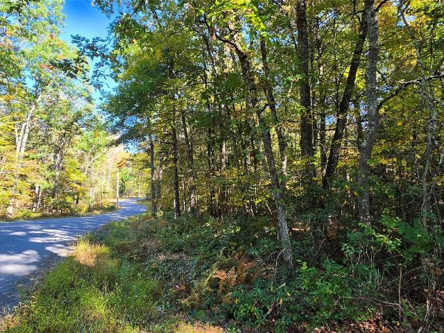 Land for sale in Town of Tusten, Sullivan County