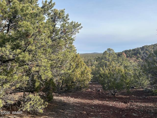 Land for sale in Arizona