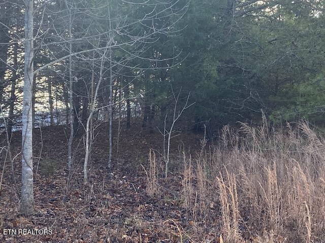 Land for sale in Tennessee