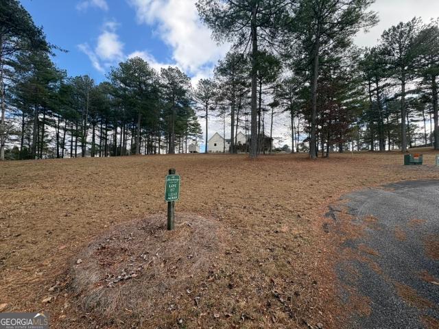 Land for sale in Blairsville, Georgia