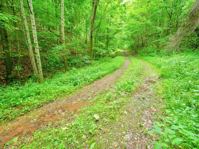 Land for sale in Virginia