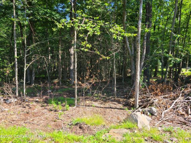 Land for sale in Barrett Township, Monroe County
