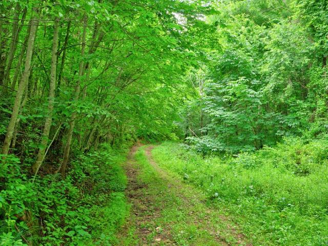 Land for sale in Virginia